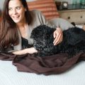 The Luxurious Copper Throw Blanket